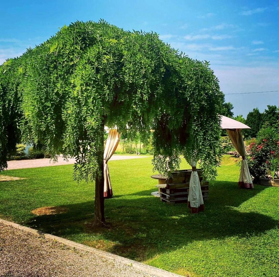 B&B Il Sentiero Noale Exteriör bild